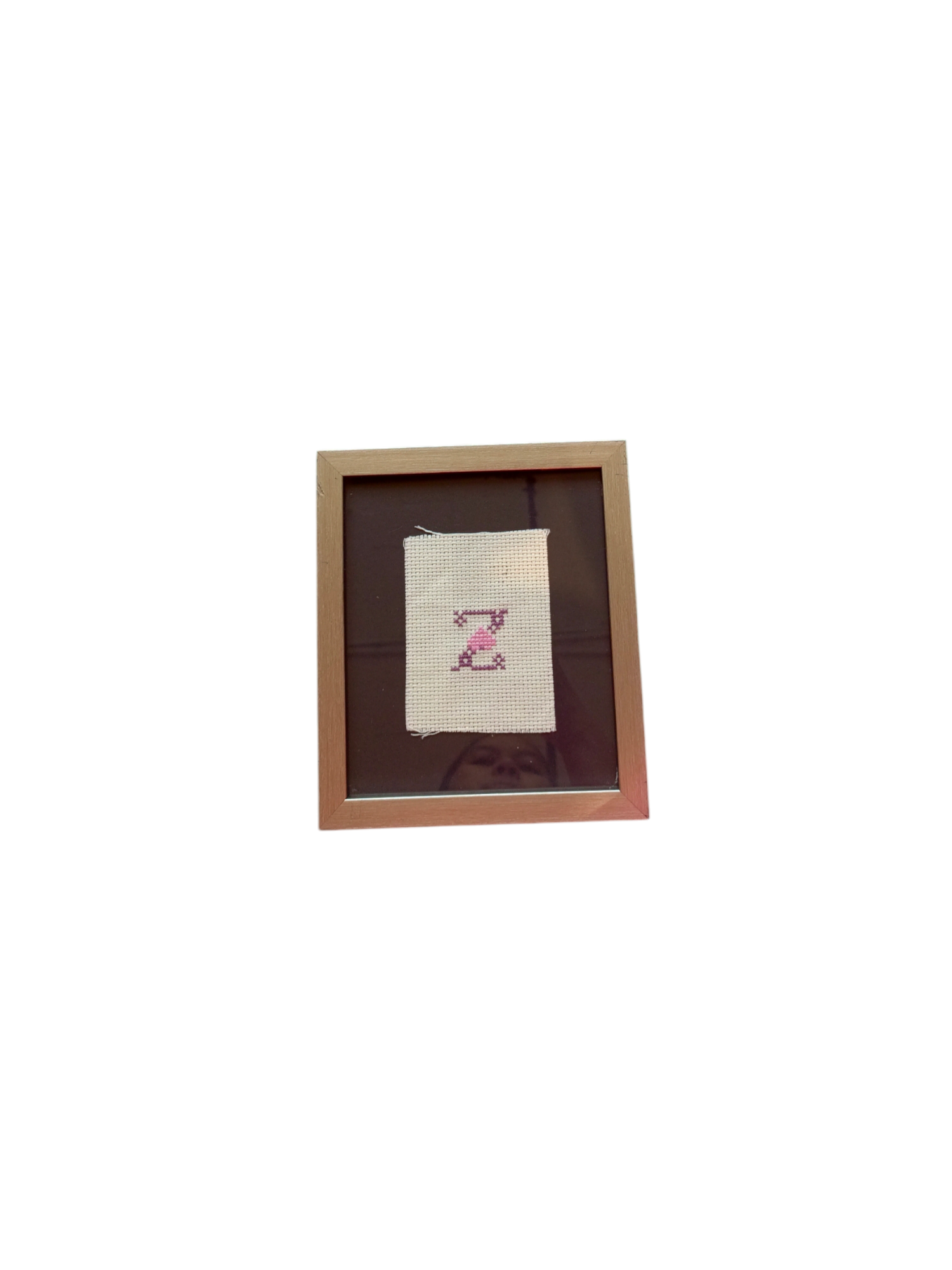 Framed Palestinian Cross Stich/Embroidery