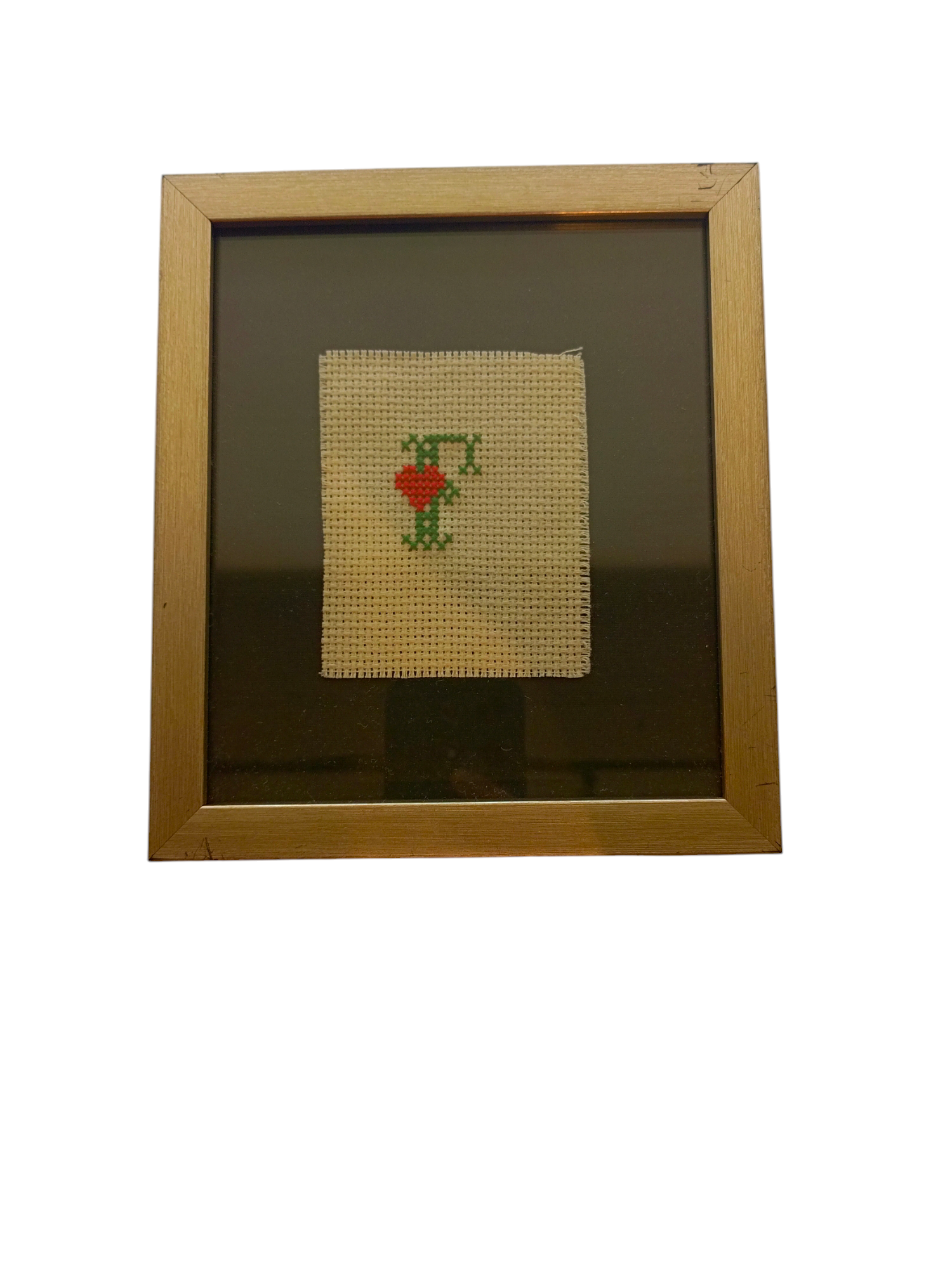 Framed Palestinian Cross Stich/Embroidery