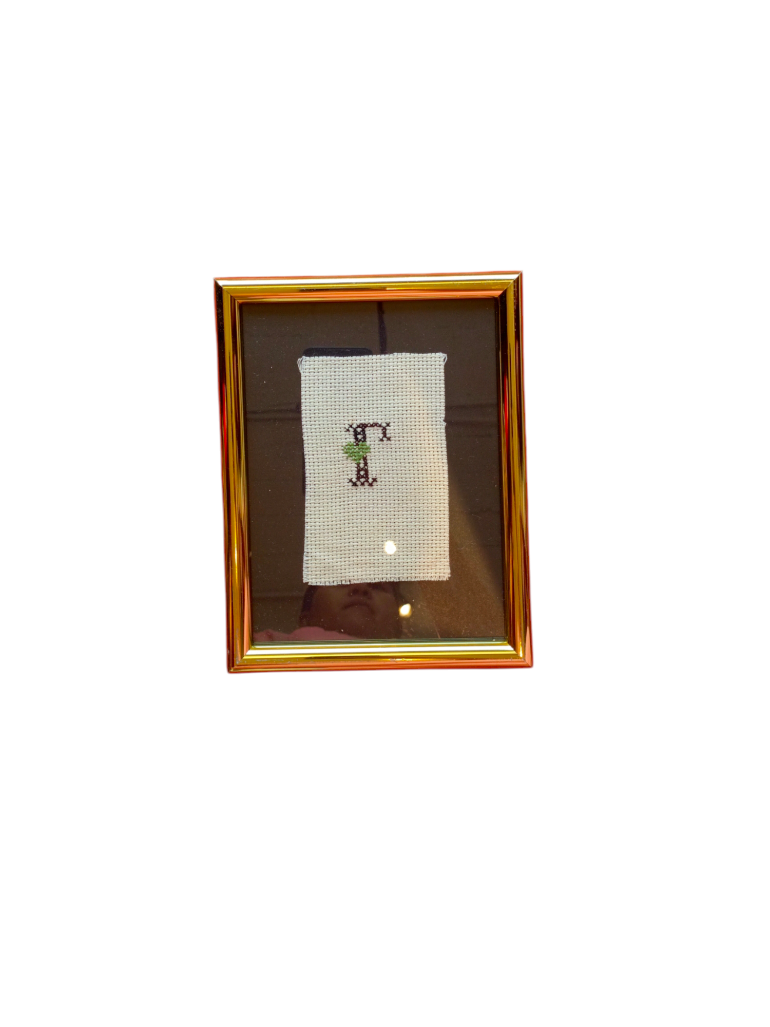 Framed Palestinian Cross Stich/Embroidery
